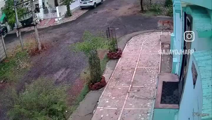 बांसवाड़ा में पहली बारिश ने खोली बिजली विभाग की पोल, करंट से दो गायों की मौत