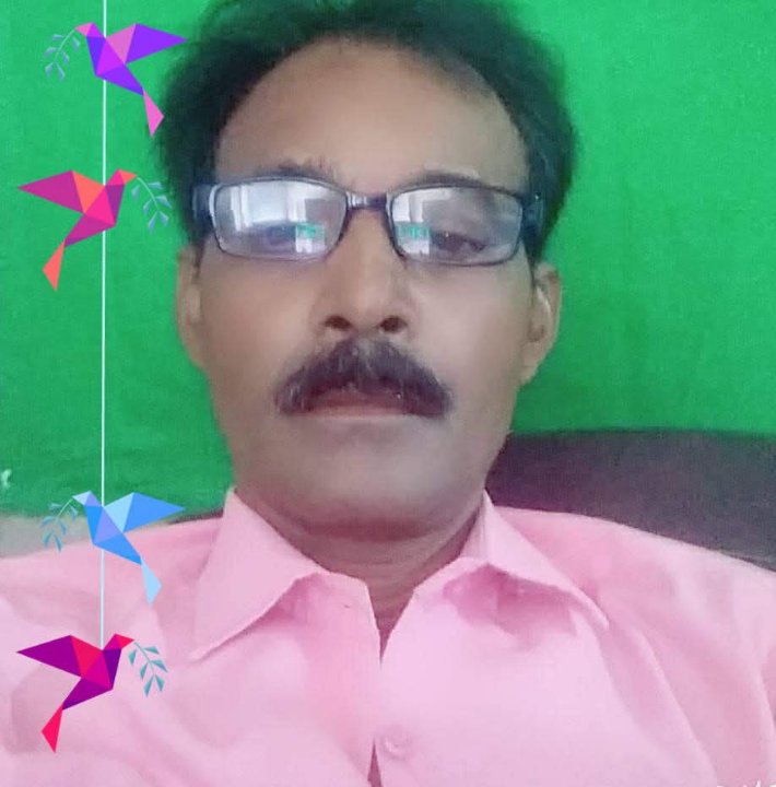 मुजीब आलम पत्रकार
