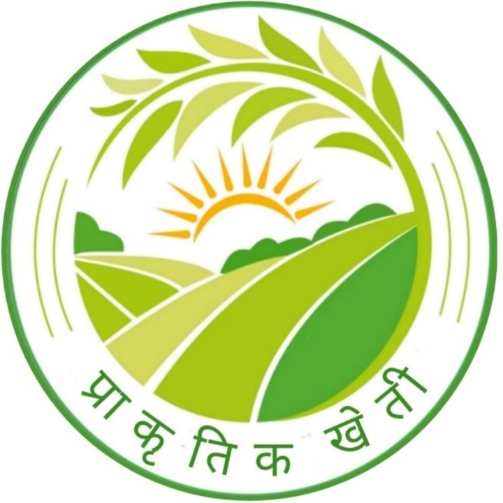 Yogendra Prajapati