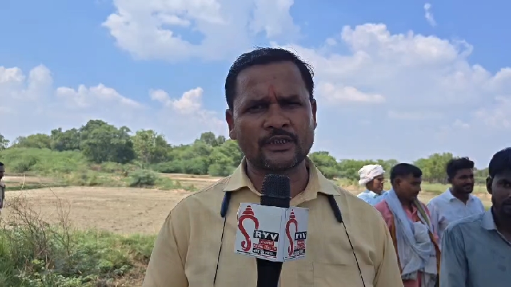 धुमाई जंगल में टैग लगे गौवंशों के अवशेष मिलने से हड़कंप, गोकशी का आरोप