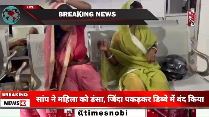जमुई में महिला को सांप ने डंसा, परिजनों ने सांप को डिब्बे में किया बंद