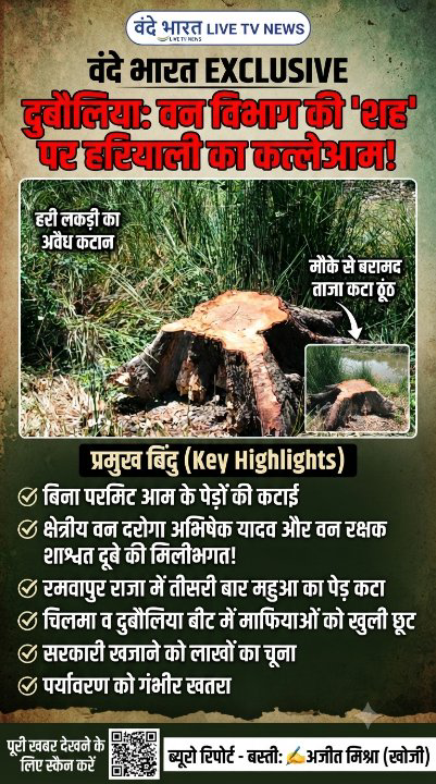 बस्ती में 'हरियाली पर कुल्हाड़ी': वन विभाग की मिलीभगत से अवैध कटान!