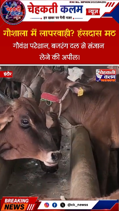 हंसदास मठ गौशाला में लापरवाही से गौवंश परेशान, बजरंग दल से हस्तक्षेप की अपील