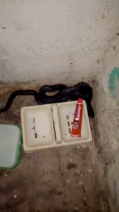 शंकरपुरा में टला बड़ा हादसा, रेस्क्यू टीम ने बचाई व्यक्ति की जान