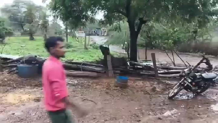 विदिशा: खेत की तार फेंसिंग में उतरे करंट से भैंस की दर्दनाक मौत, सुरक्षा अपील