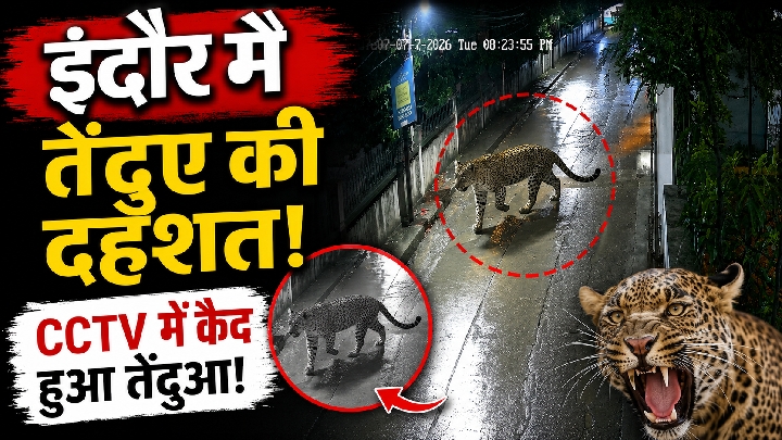 इंदौर के बिचौली मर्दाना में तेंदुए की दहशत: CCTV में दिखा, फिर गायब; रातभर तलाशी जारी