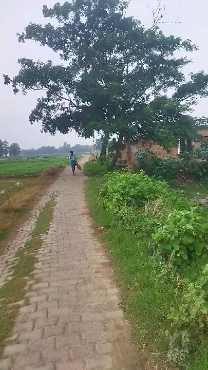 अयोध्या राम मंदिर दान चोरी: 'राम आएंगे' गाने का असली मतलब अब आया समझ