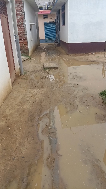गोरखपुर की हरिजन बस्ती में नहीं बनी सड़क, बारिश में बढ़ी ग्रामीणों की दिक्कतें
