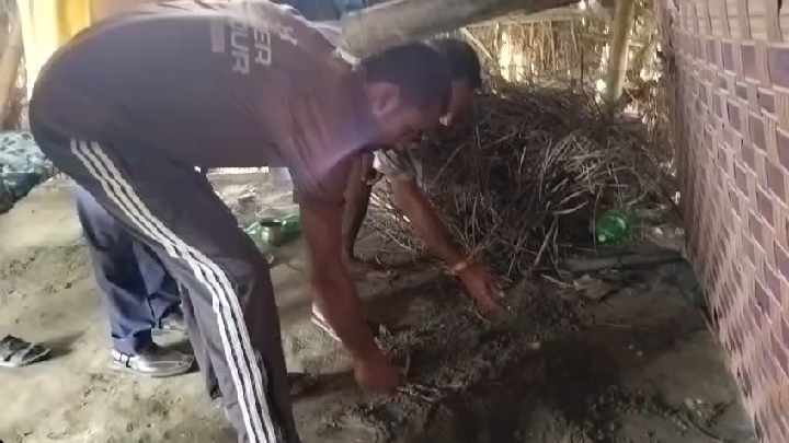 लखीमपुर खीरी में गोकशी से तनाव, 2 गिरफ्तार, ग्रामीणों ने की कड़ी कार्रवाई की मांग