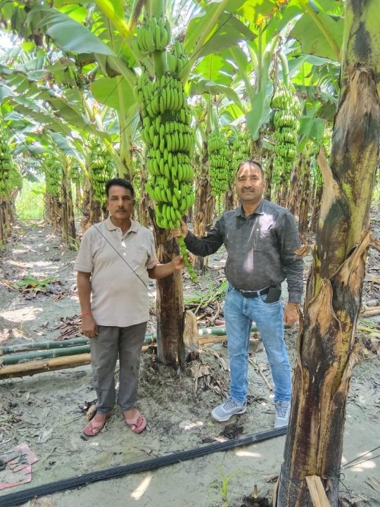 कुशीनगर में कलेक्शन एजेंट से लूट का 24 घंटे में खुलासा, चार आरोपी गिरफ्तार