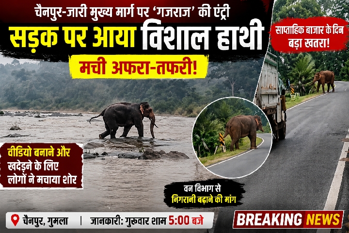 गुमला के चैनपुर बाजार में हाथी की एंट्री, सड़क पर मची अफरा-तफरी
