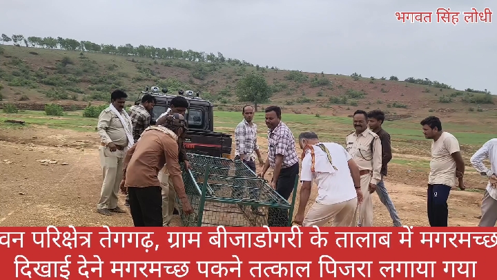 दमोह के बीजाडोगरी तालाब में मगरमच्छ मिलने से हड़कंप, पिंजरा तैनात