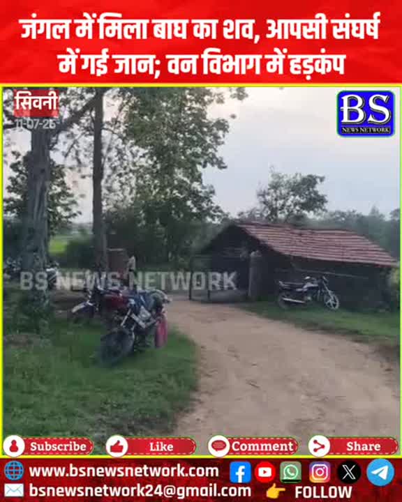 आपसी संघर्ष में गई बाघ की जान, शव मिलने से मचा हड़कंप