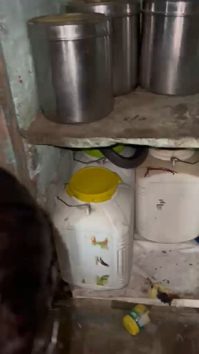 पत्रकार के घर चूहों का शिकार करने घुसा 5 फीट लंबा कोबरा