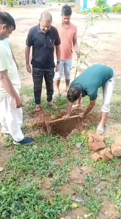 पुलिसकर्मियों ने महुली थाना परिसर में उत्साहपूर्वक किया पौधारोपण