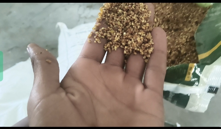 बच्चों की सेहत से खिलवाड़, आंगनबाड़ी में बांटा जा रहा खराब राशन