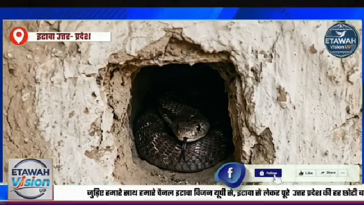 सांप के काटने से मासूम ईशा की मौत, मां सैफई PGI रेफर