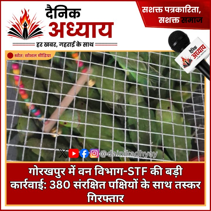 वन विभाग और STF की कार्रवाई, 380 संरक्षित पक्षियों समेत तस्कर गिरफ्तार
