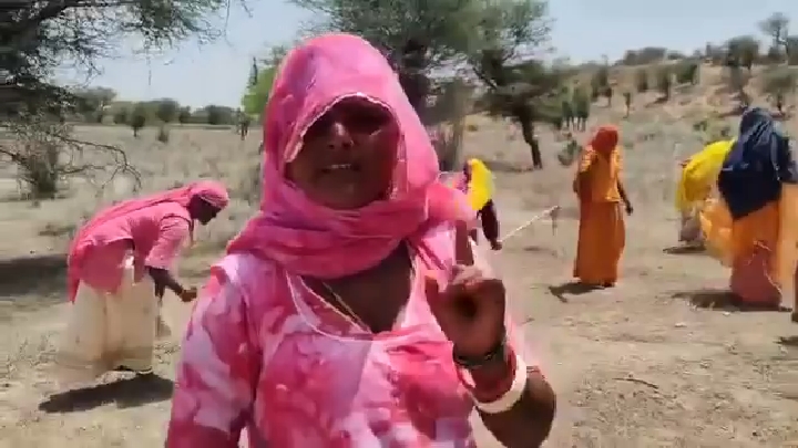 राजस्थान चुरू जिला तहसील बिदासर ग्राम पंचायत लालगढ़ 331518