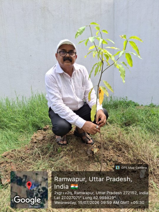 पौधों का रोपण कर प्रधानाचार्य ने दिया पर्यावरण संरक्षण का संदेश