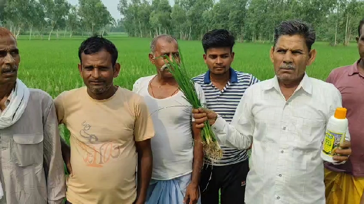 नैनो उर्वरक घटाएंगे खेती की लागत, पीलीभीत में किसान सभा का आयोजन