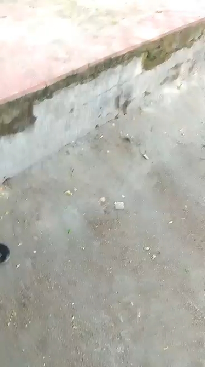 नगर पालिका की लापरवाही से भ्रष्टाचार की भेंट चढ़ा डबरा का मुक्तिधाम
