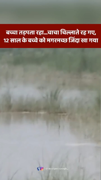 मगरमच्छ ने 12 साल के बच्चे को पानी में खींचा, दर्दनाक मौत