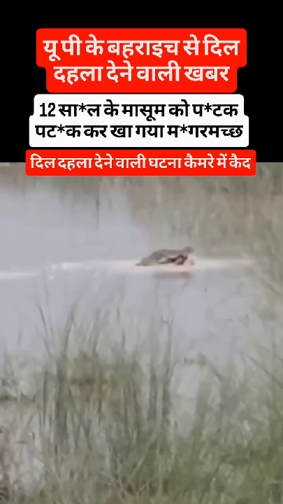 भयानक दृश्य के रूप में बताई जा रही बहराइच की घटना