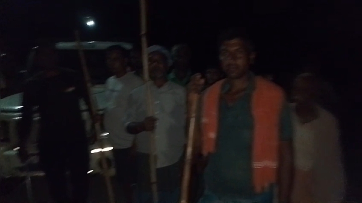 बाघ ने बछड़े को बनाया शिकार, मसान नदी किनारे ग्रामीणों में दहशत
