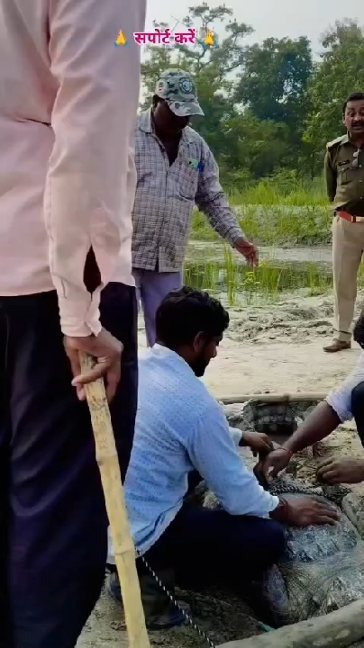 बच्चे को खाने वाला आदमखोर मगरमच्छ पकड़ा गया
