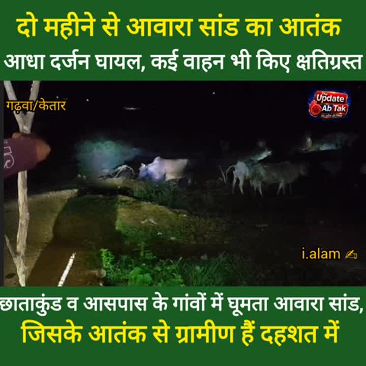 आवारा सांड का आतंक, एक की मौत और दर्जनों लोग घायल