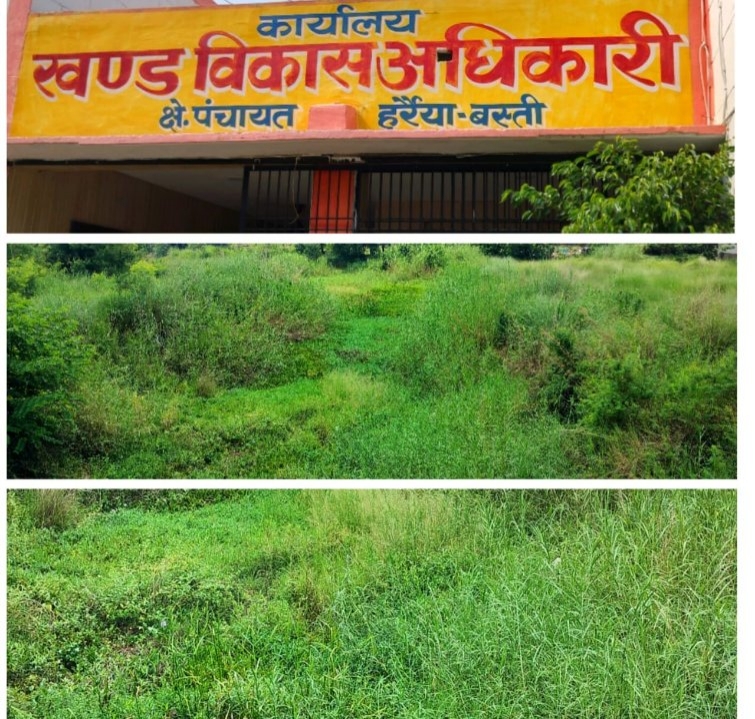 नदी को नाला दिखाकर मनरेगा में ₹3.99 लाख का फर्जी भुगतान
