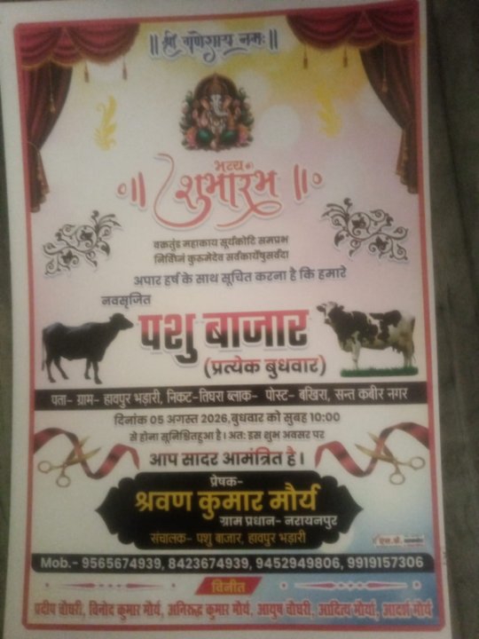 ग्राम प्रधान की पहल पर 5 अगस्त से सजेगा नवसृजित पशु बाजार