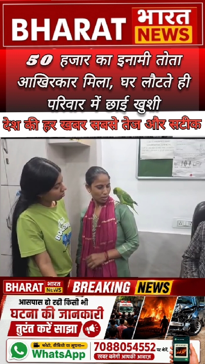 आगरा में 50 हजार का इनामी तोता सुरक्षित लौटा, परिवार में खुशी