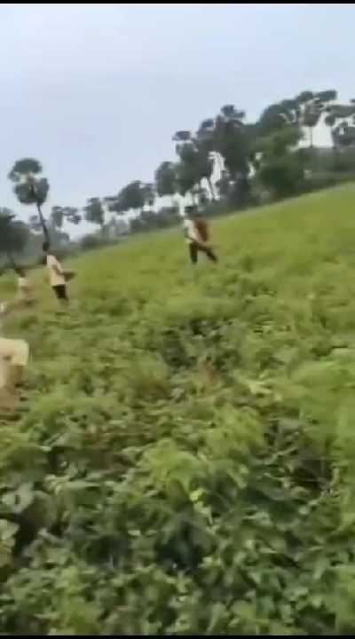 पत्नी ने पति को निपटाया, मूँग के खेत में मिली बॉडी