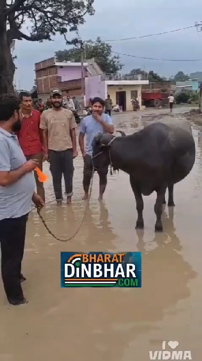 भैंस के आगे बीन बजाकर अनोखा प्रदर्शन, PWD को मिला अल्टीमेटम