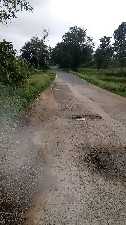 गड्ढों से बेहाल दुबियाखाड़ से गारू महुआडांड़ मार्ग, राहगीर बेहद परेशान