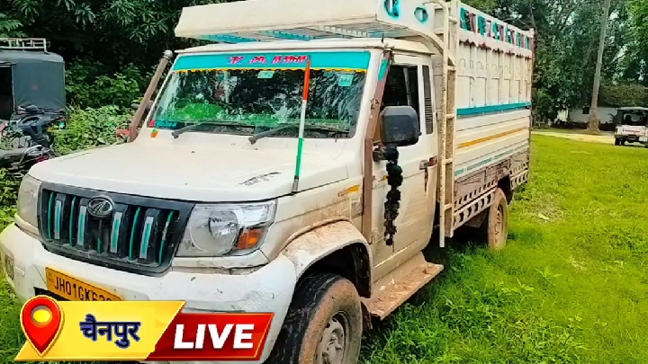 पिकअप से 10 गोवंश बरामद, अमानवीय तरीके से लादे दो की मौत