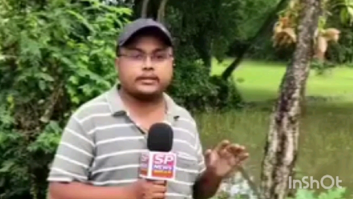 गिरा हुआ पेड़ अचानक सीधा खड़ा हुआ, ग्रामीणों ने माना अनोखा चमत्कार