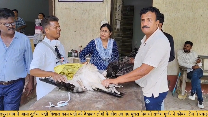 लाडपुरा गांव में विशालकाय दुर्लभ पक्षी को देख उड़े लोगों के होश