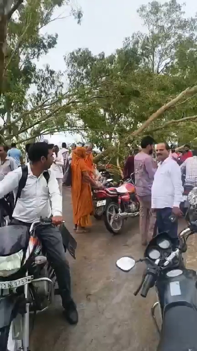 तेज हवा से गिरा पेड़, एनएच 70 पर यातायात हुआ प्रभावित