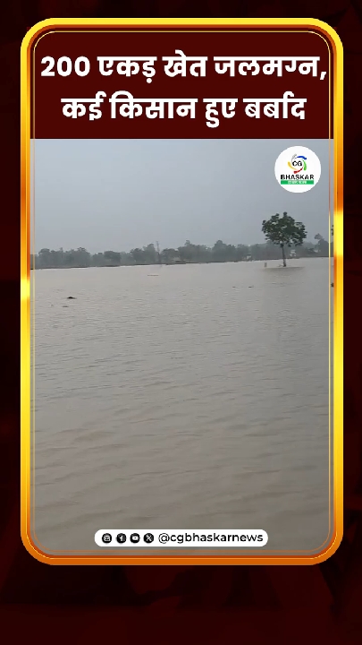 बिलासपुर के सेंदरी में 200 एकड़ फसल जलमग्न, कलेक्टर पहुंचे किसान