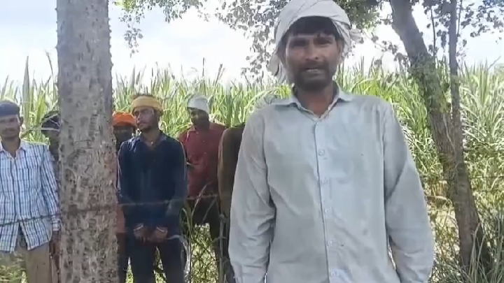 लखीमपुर खीरी में बाघ की दहशत, वन विभाग की लेटलतीफी पर भड़के ग्रामीण