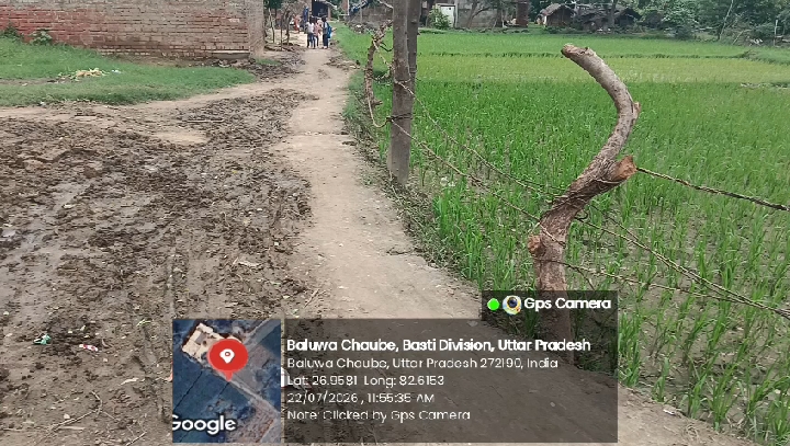 कागजों पर मजदूर और धरातल पर सन्नाटा, मनरेगा में फर्जीवाड़े से आक्रोश