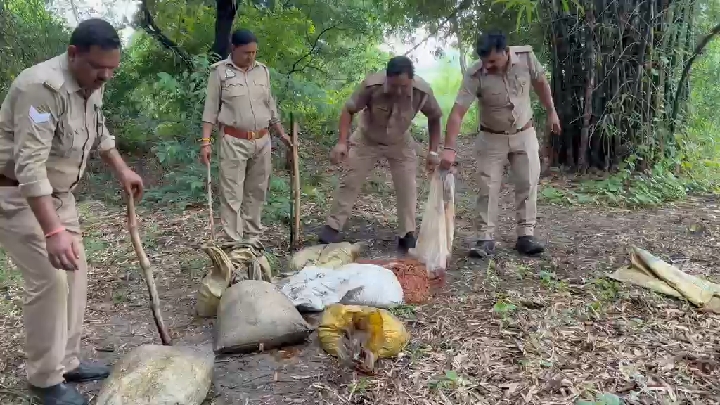 बीकापुर में आबकारी टीम का बड़ा प्रहार, कच्ची शराब की भट्ठियां जमींदोज