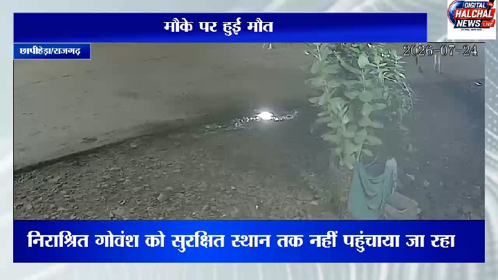 छापीहेड़ा में गोवंश से टकराकर ट्रक की चपेट में आया बाइक सवार, मौत