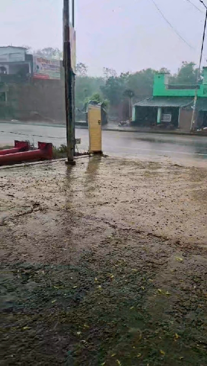 भारी बारिश से किसानों के चेहरे खिले, फसलों को मिला नया जीवनदान