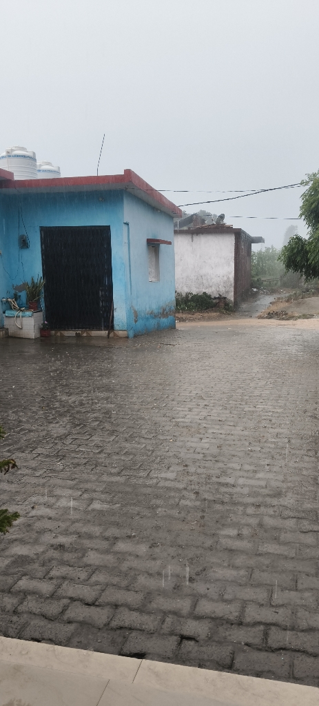 मूसलाधार बारिश से किसानों के खिले चेहरे बच्चों ने भी लिया बरसात का आनंद