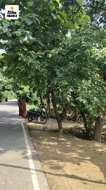 तिवरान ग्राम सभा में शोपीस बनी हाईमास्ट लाइट, ग्रामीणों ने की मरम्मत की मांग