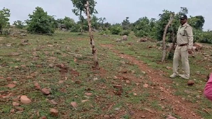 40 बीघा वन भूमि अतिक्रमण से मुक्त, वन विभाग की बड़ी कार्रवाई